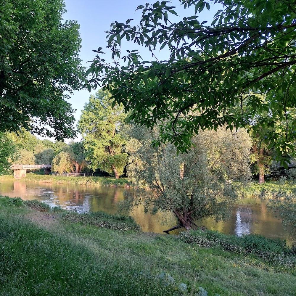 A river flows under a bridge through a lush forest.